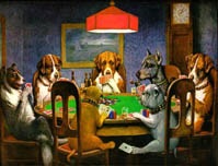 Dog Poker
