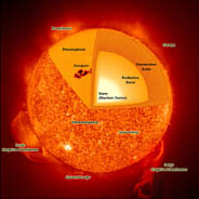 cross section of the Sun's anatomy